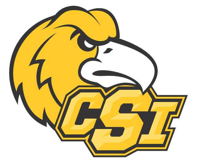 CSI